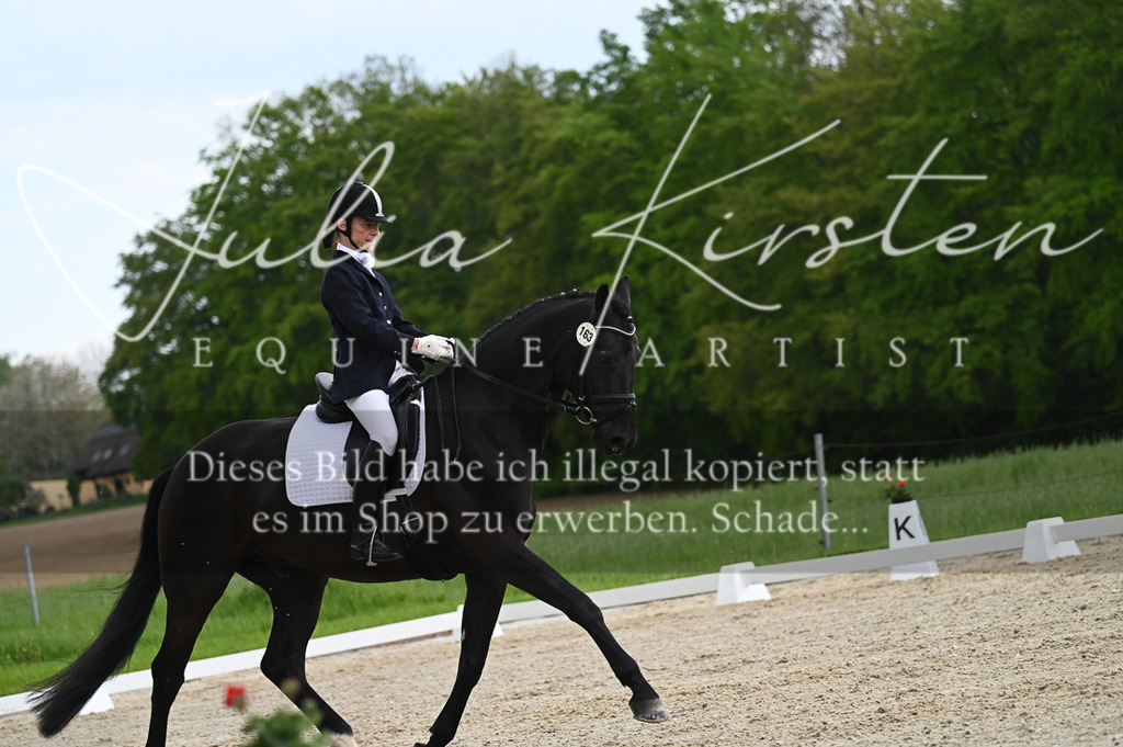 20230512_JK-Röhrsdorf-03-059 | Pferde- und Turnierfotografie in Westsachsen. Pferdeportraits, Auftragszeichnungen und intuitive Kunst.