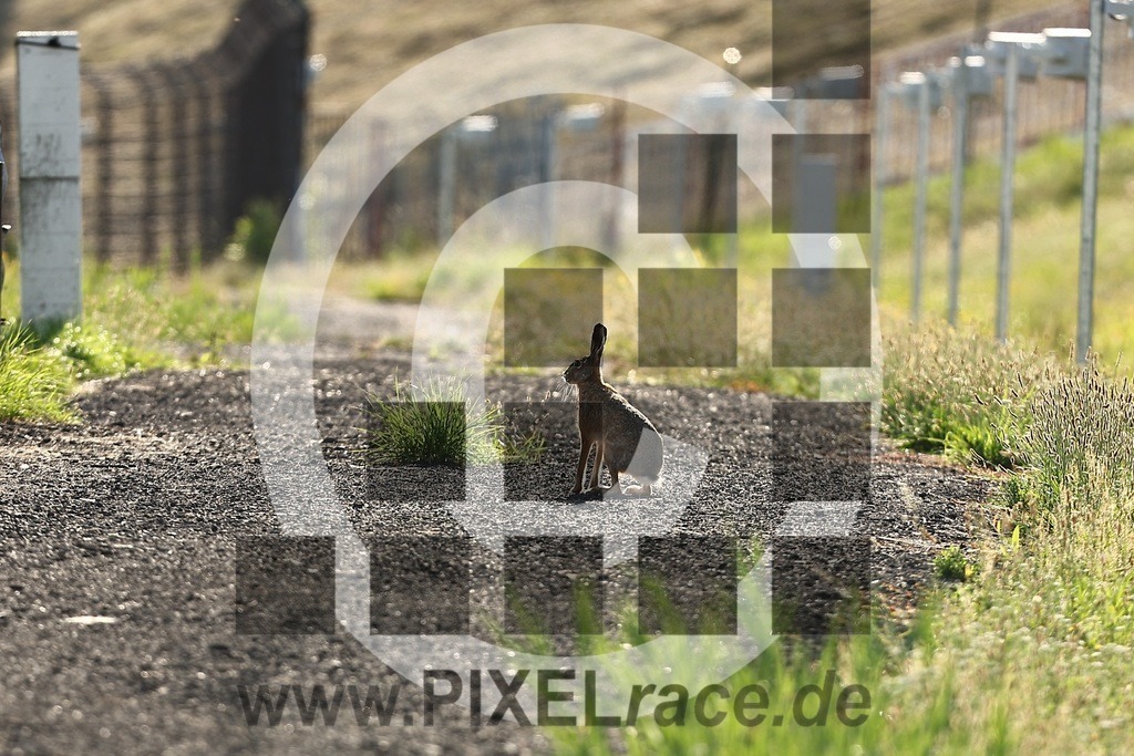 social-20250823_03955 | Schöne Erinnerungen an spannende Momente - das festzuhalten ist unser Job. PIXELrace.de ist seit 2003 auf den Rennstrecken Europas unterwegs um die Action draußen beim Fahren und die wunderbare Stimmung imm Fahrerlager für euch einzufangen.