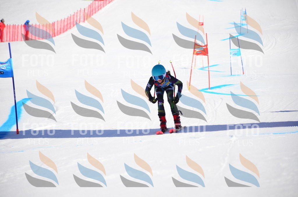 VR4_8726 | holidayphoto