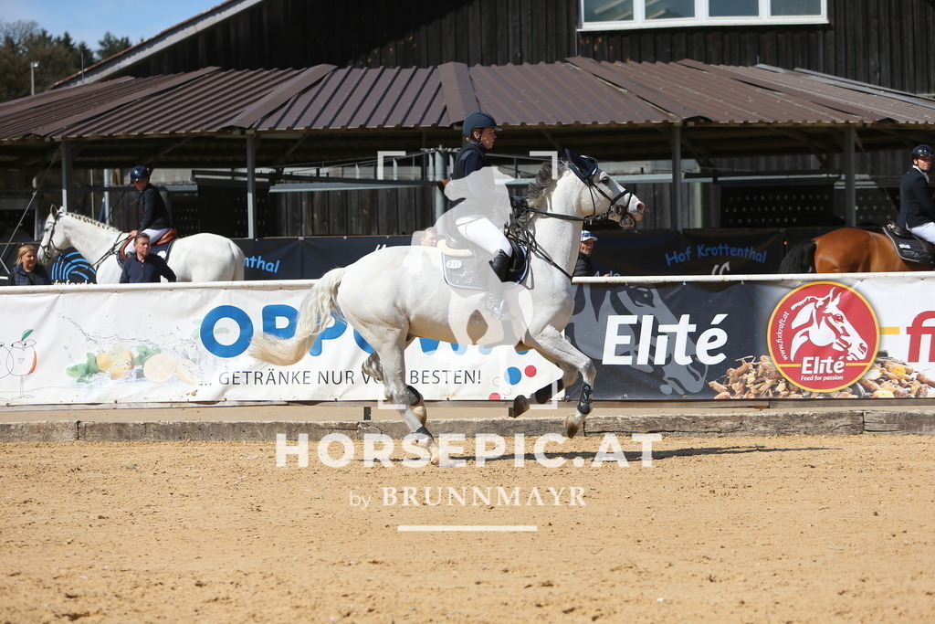 DL2Q5271 | Willkommen bei Brunnmayr - Design & Fotografie – Ihrem Spezialisten für Reitturniere und Pferdeveranstaltungen in Oberösterreich, Salzburg und Bayern! Seit über 17 Jahren sind wir leidenschaftlich dabei.