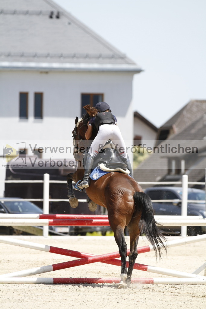 _MG_6980 | equestrian-live-com