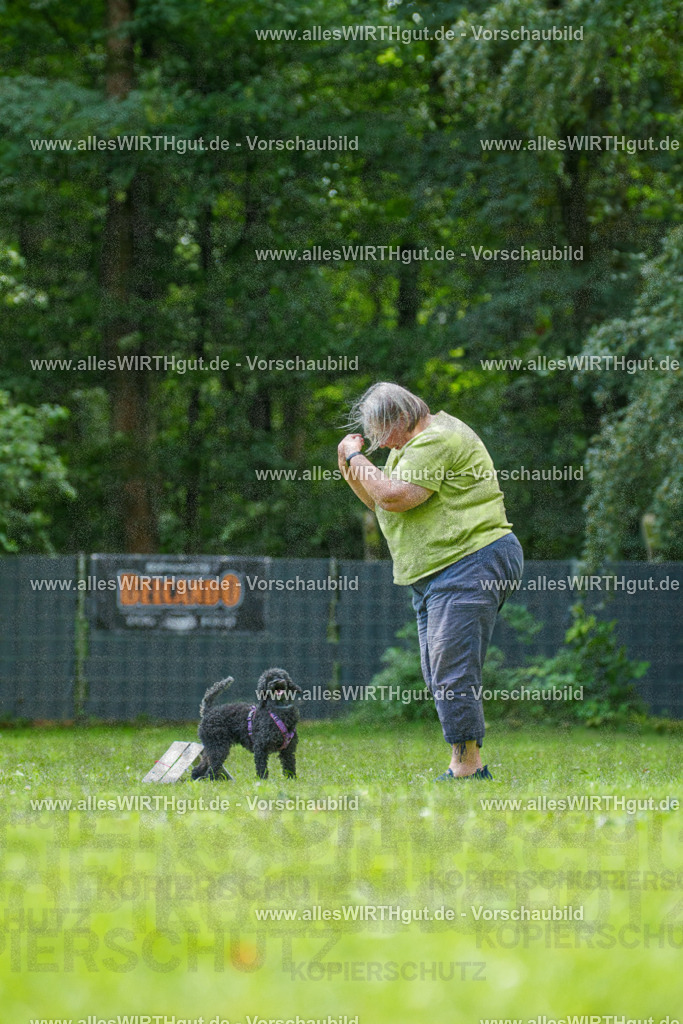 @allesWIRTHgut_Tierfotografie - www.allesWIRTHgut.de - 7R501008 | Professionelle Tierfotografie in Mönchengladbach von Daniel Wirth (allesWIRTHgut). Liebevolle & natürliche Bilder von Hunden & Katzen für unvergessliche Erinnerungen.