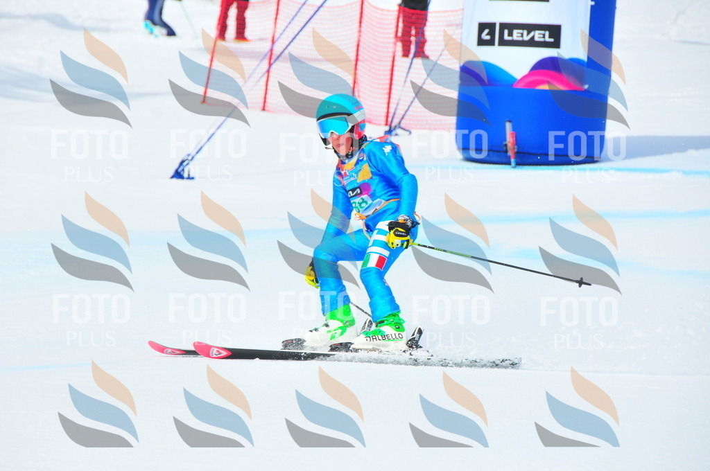 DSC_2686 | holidayphoto