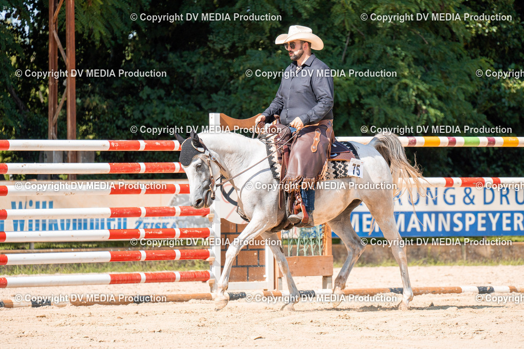 ZH100216 | dv-media-shop - Realisiert mit Pictrs.com