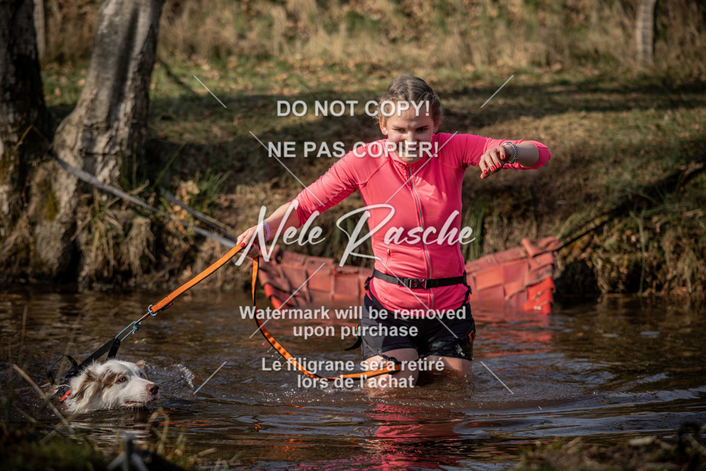 nelerasche_FS1330-1400_213 | nelerasche