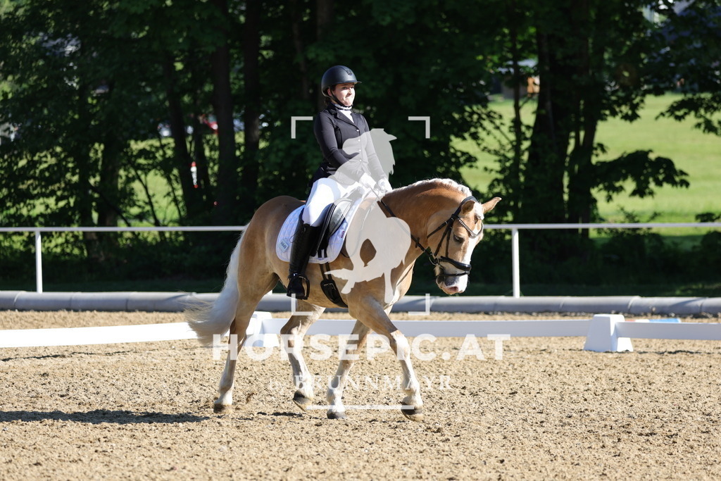 0P6A9367 | Willkommen bei Brunnmayr - Design & Fotografie – Ihrem Spezialisten für Reitturniere und Pferdeveranstaltungen in Oberösterreich, Salzburg und Bayern! Seit über 17 Jahren sind wir leidenschaftlich dabei.