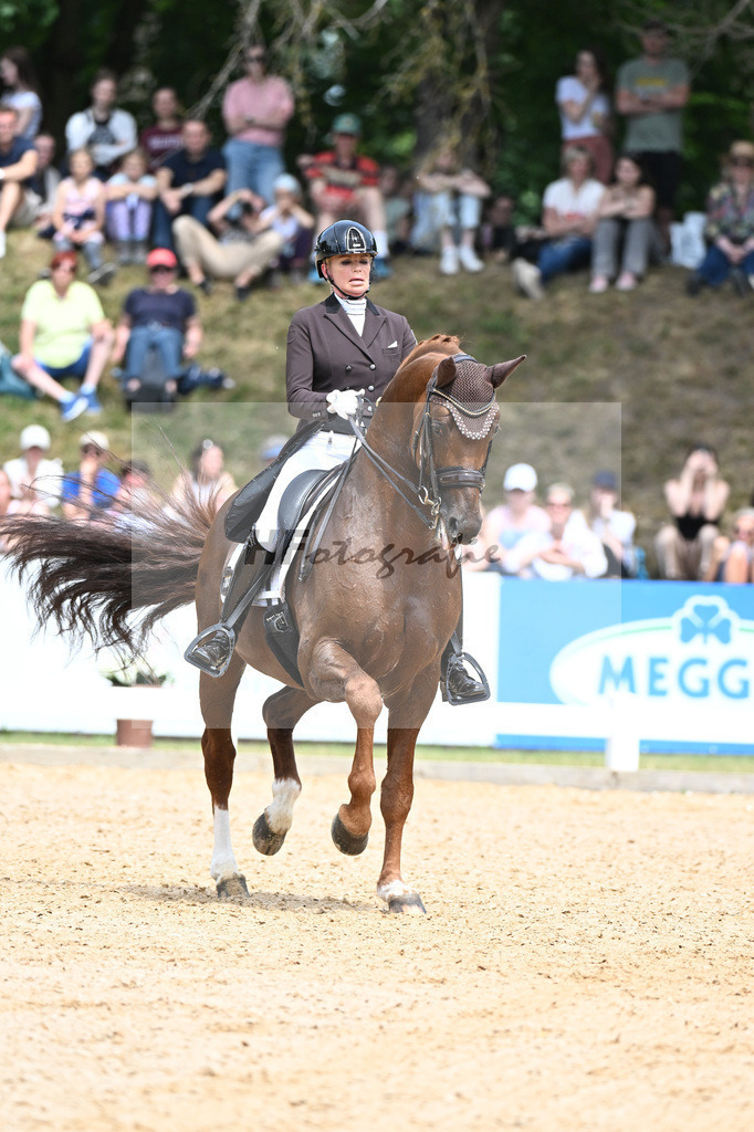 Reichert_Springbank II VH_11256879 | hf-fotografie - Realisiert mit Pictrs.com