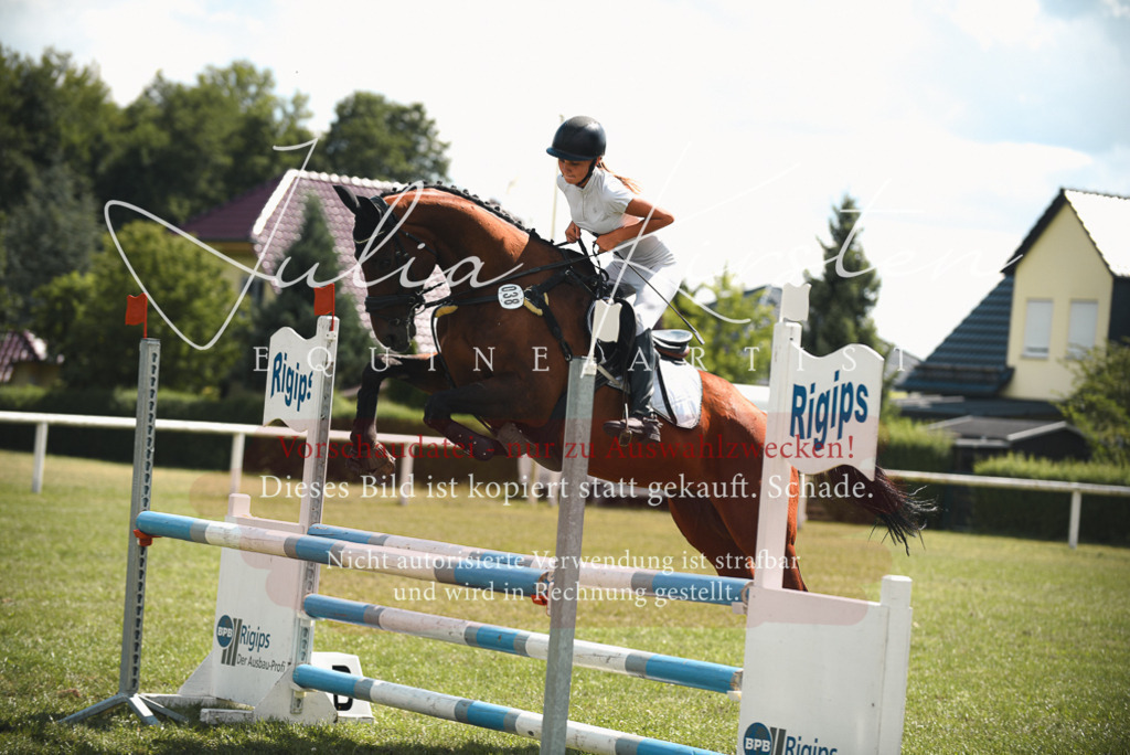 DSC_6665 | Pferde- und Turnierfotografie in Westsachsen. Pferdeportraits, Auftragszeichnungen und intuitive Kunst.