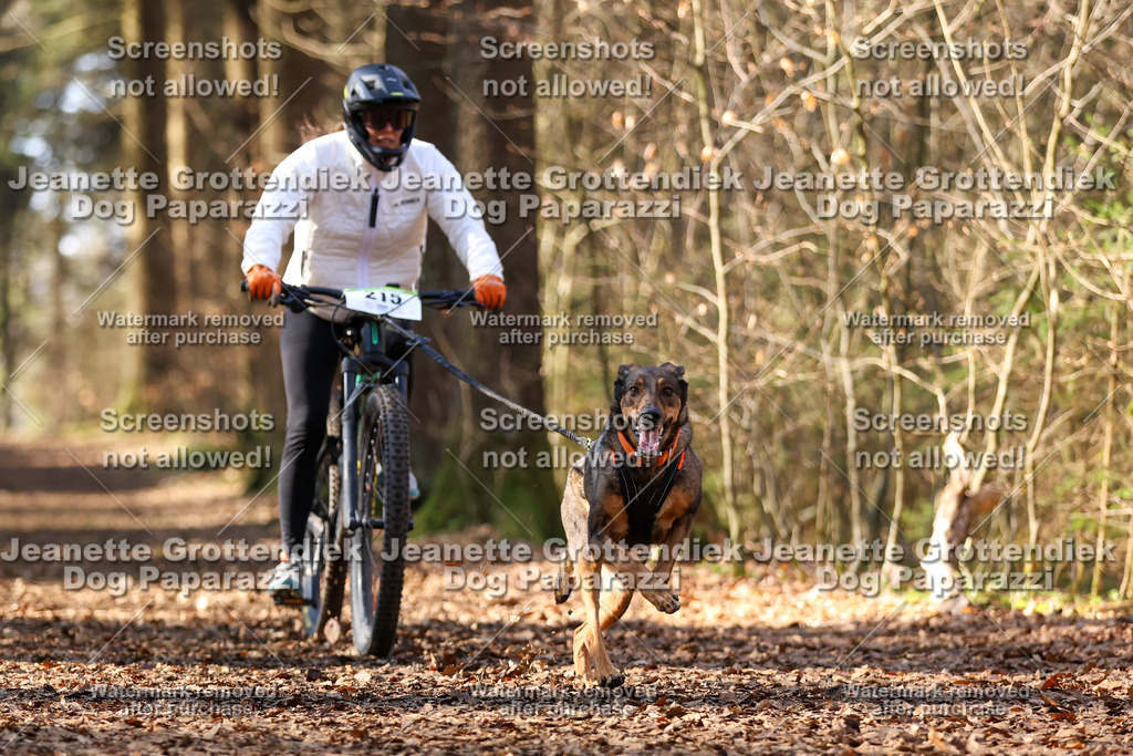 Dog Paparazzi - VCC26-1064 | Dog Paparazzi Jeanette Grottendiek Fotografie & Videografie - Realisiert mit Pictrs.com