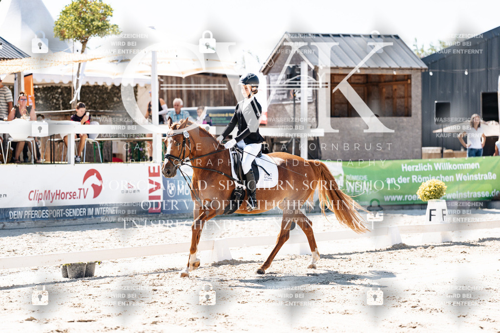 CK902309 | Turnierfotografie Pferdefotografie Trier Rheinland-Pfalz Pferdesport Reitsport Tierfotografie Sportfotografie Pferdevideo Pferdevideografie Equestrianvideography equestrianphotography  - Realisiert mit Pictrs.com
