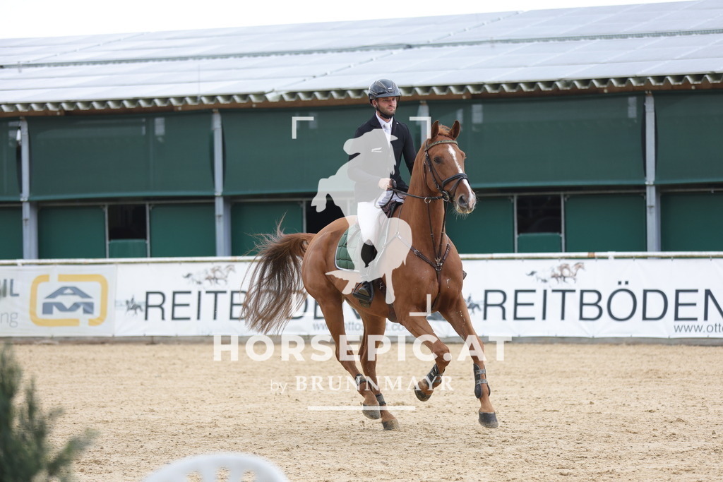 0P6A3141 | Willkommen bei Brunnmayr - Design & Fotografie – Ihrem Spezialisten für Reitturniere und Pferdeveranstaltungen in Oberösterreich, Salzburg und Bayern! Seit über 17 Jahren sind wir leidenschaftlich dabei.