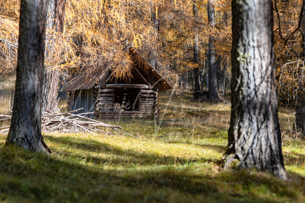 Herbst | Herbst am Mieminger Plateau