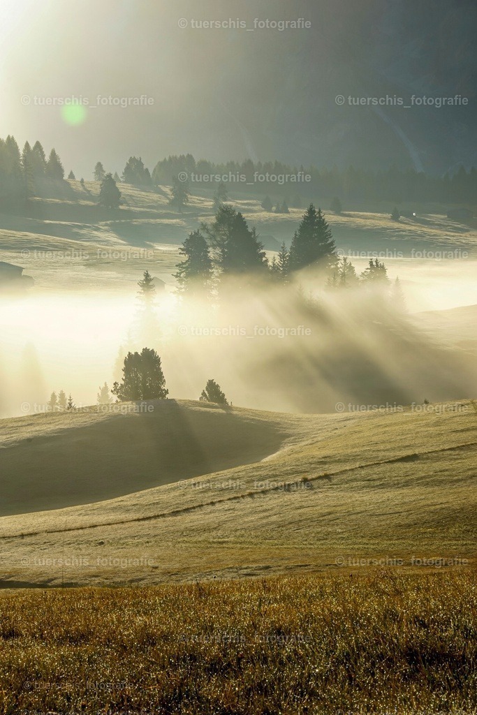 _DSC5034-01 | tuerschis_fotografie - Realisiert mit Pictrs.com