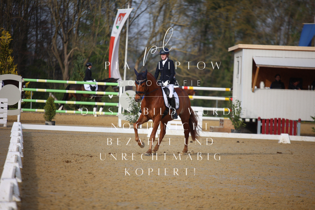 IMGT8386 | pl-fotografie