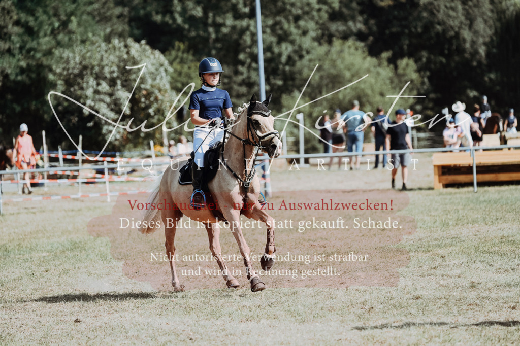 DSC_9335 | Pferde- und Turnierfotografie in Westsachsen. Pferdeportraits, Auftragszeichnungen und intuitive Kunst.