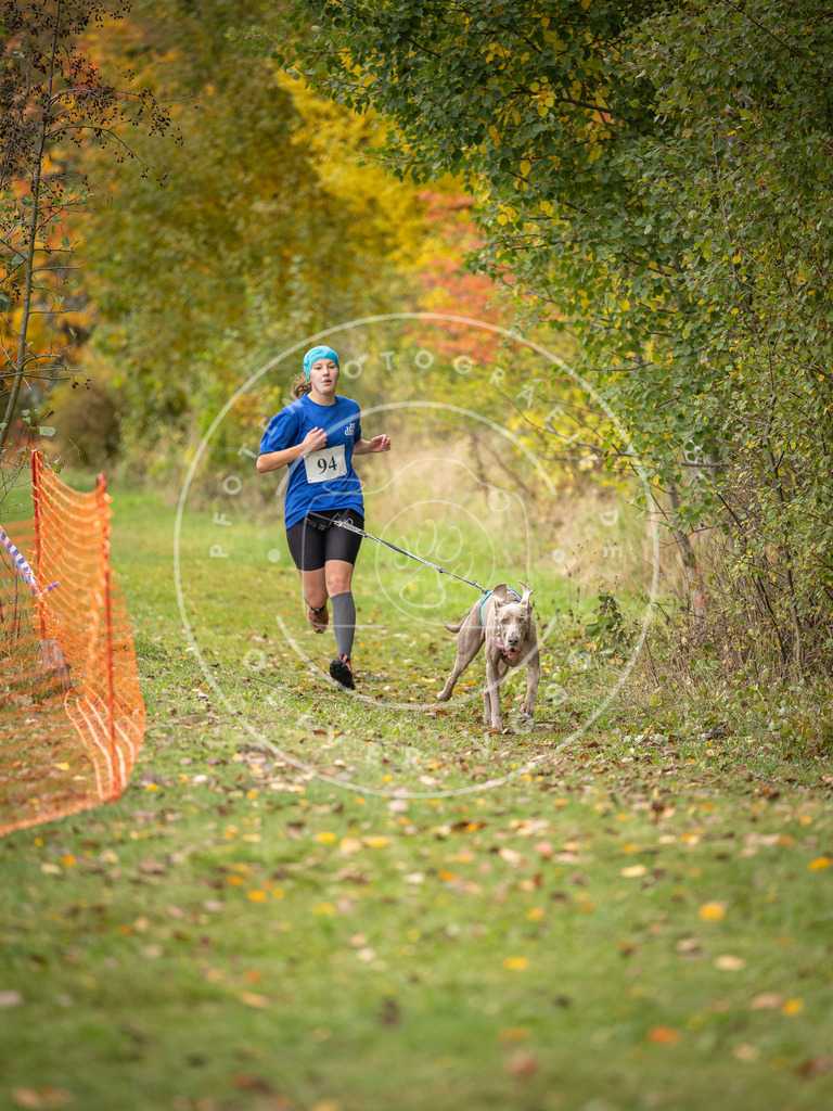 Pfotenfotografie_DV3A3287 | Hundefotografie, Tierfotograf, Pfotenfotografie, Fotoshooting Hund, Hunde Portrait, Hundesport, Hundeportraits, Heideshooting, Hunde, Sportfotograf, Hundefotograf, Turnierhundsport, THS,  - Realisiert mit Pictrs.com
