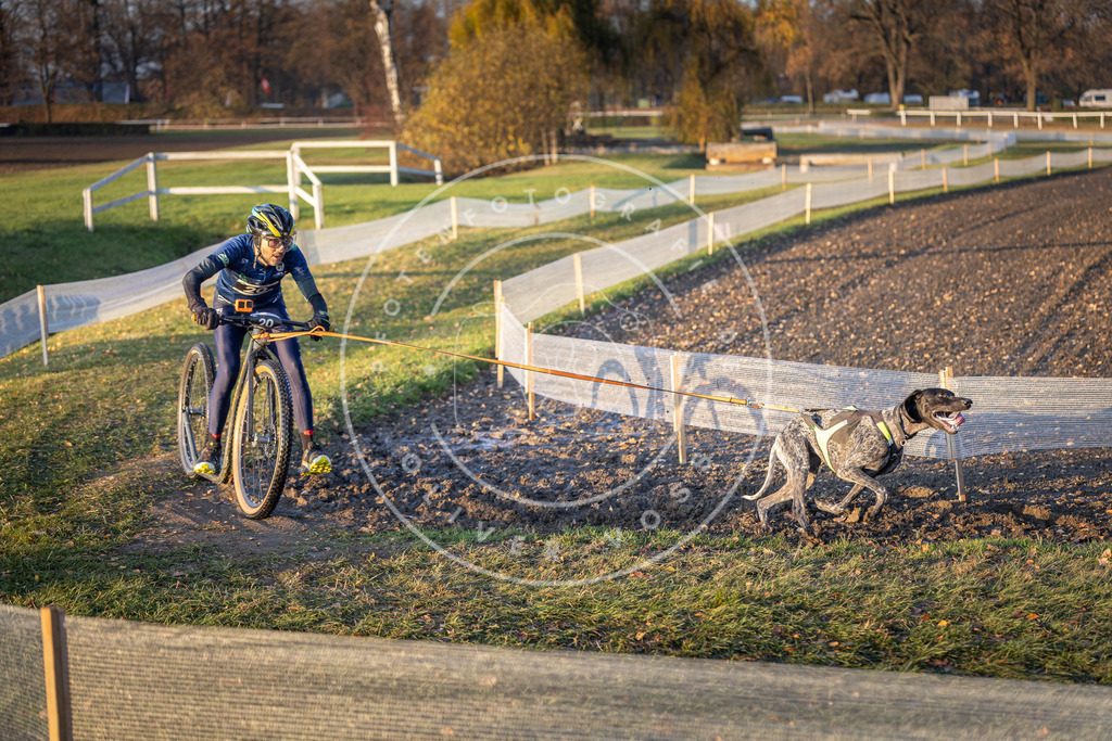 CaniXpix_DV3A9690 | Hundefotografie, Tierfotograf, Pfotenfotografie, Fotoshooting Hund, Hunde Portrait, Hundesport, Hundeportraits, Heideshooting, Hunde, Sportfotograf, Hundefotograf, Turnierhundsport, THS,  - Realisiert mit Pictrs.com