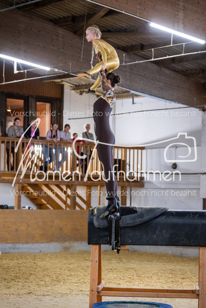 Holzpferd-061 | MomenTaufnahmen Pferdesportfotos