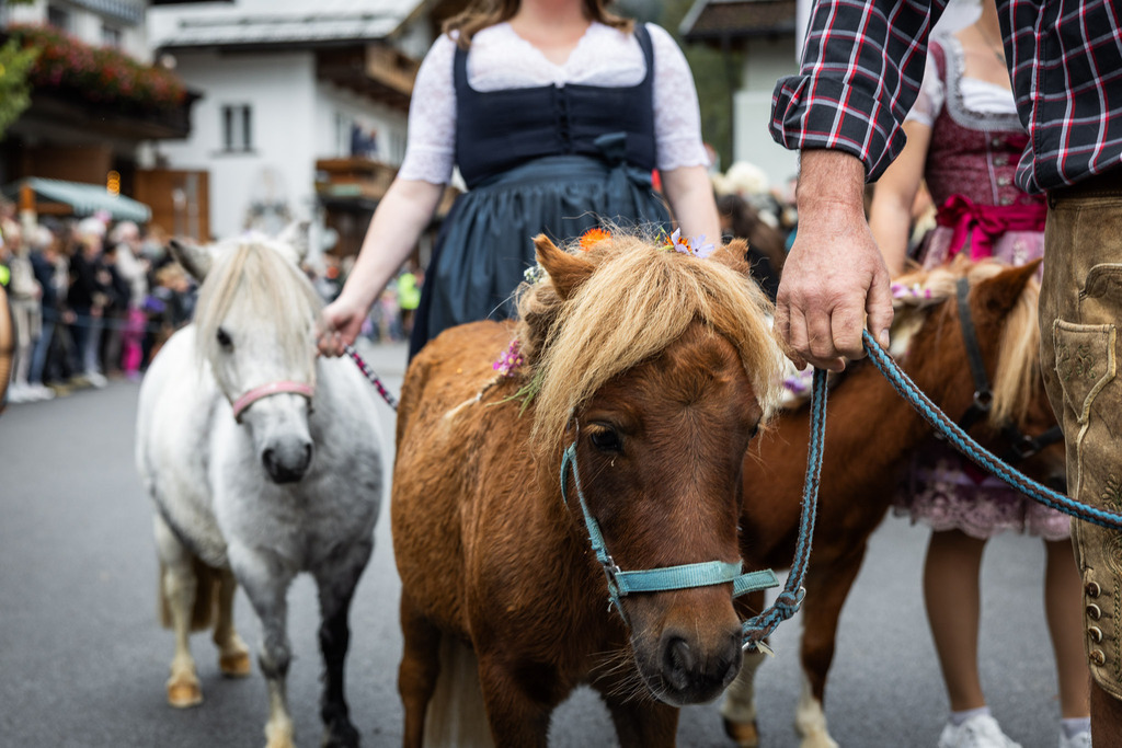 Rupertifest_Flachau_2k25_Webauflösung-212 | Bildershop Chri Fischbacher - Realisiert mit Pictrs.com