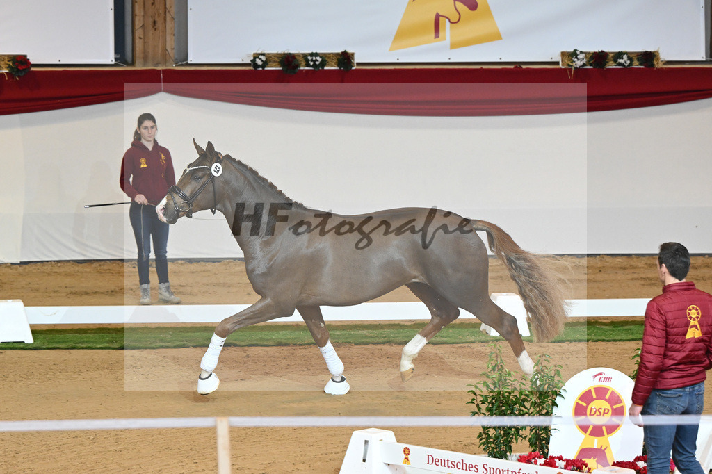 Kat-Nr. 58 Fuerst Samarant_Beckmann_1230264 | hf-fotografie - Realisiert mit Pictrs.com