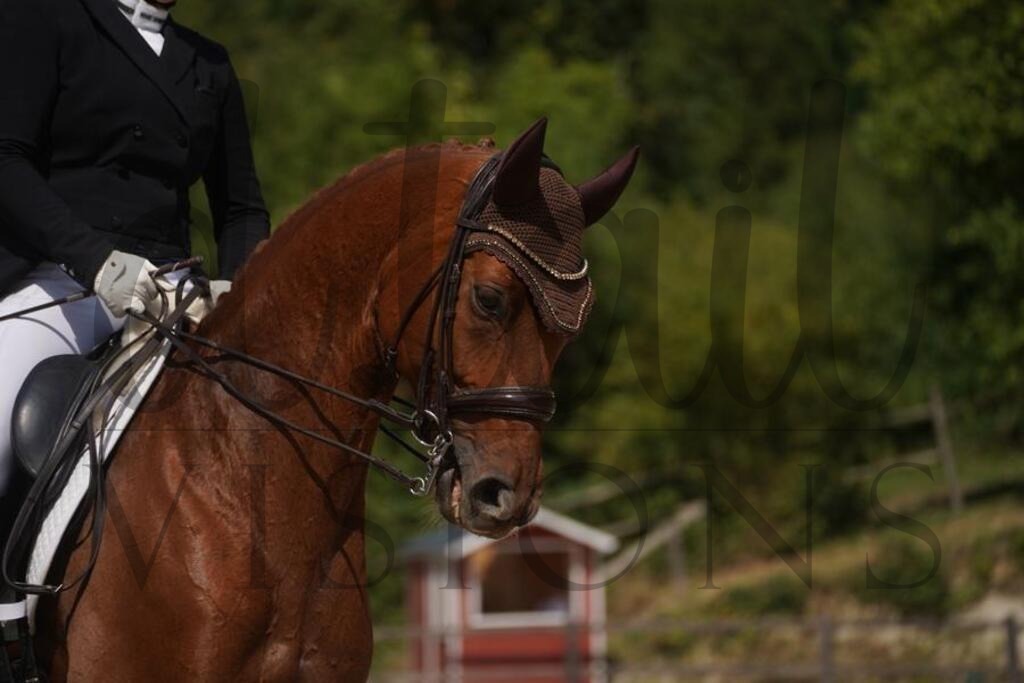 tbhsamstag (1425) | d.tail Visions - Shop - Realisiert mit Pictrs.com