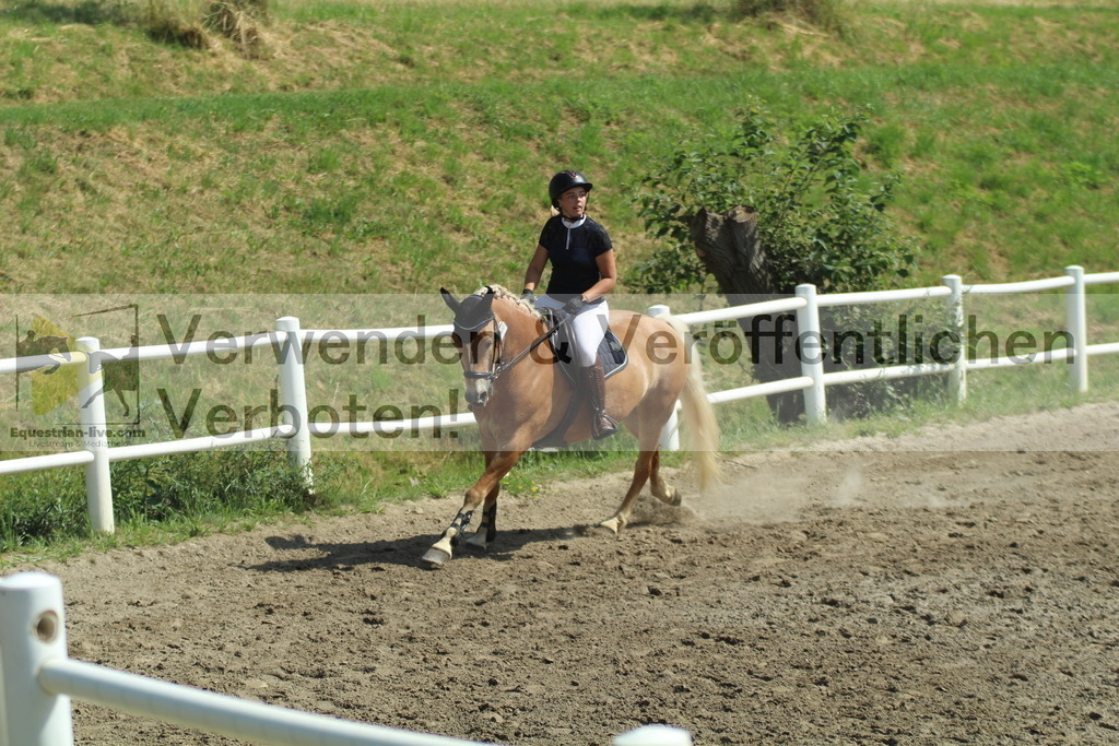 IMG_3358 | equestrian-live-com