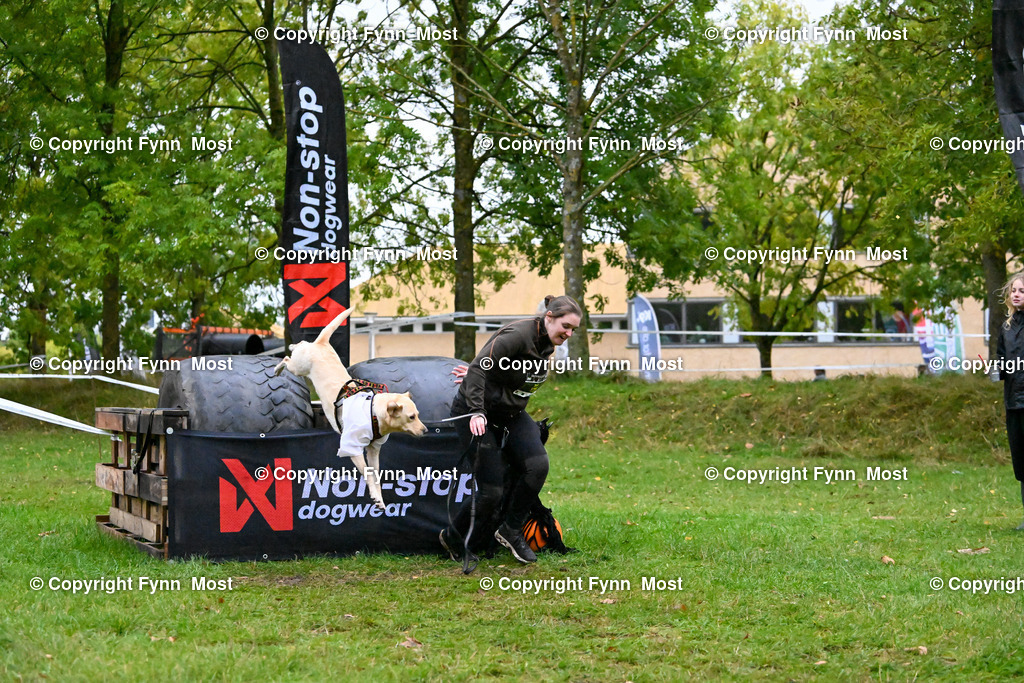 DSC_3247 | Hallo und herzlich Willkommen auf meiner Shop-Seite Fynn Most.

Ich wünsche Dir viel Spaß beim stöbern durch die Bilder, wenn Du Fragen hast oder Bilder vermisst, kannst du mir gerne eine Nachricht schreiben. - Realisiert mit Pictrs.com