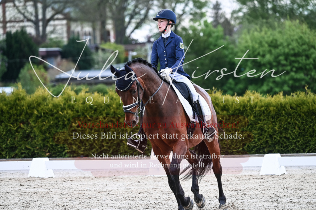 20230513_JK-Röhrsdorf-11-252 | Pferde- und Turnierfotografie in Westsachsen. Pferdeportraits, Auftragszeichnungen und intuitive Kunst.