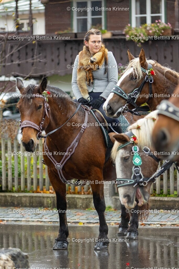 LL25-322 | foto-bettina-krinner - Realisiert mit Pictrs.com
