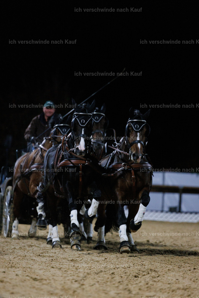 FHClassics-304 | working equitationturnier fotograf videograf stoibphotography marixx film working equitation deutschland reitsport turnierfotografie eventfotografie equestrian events