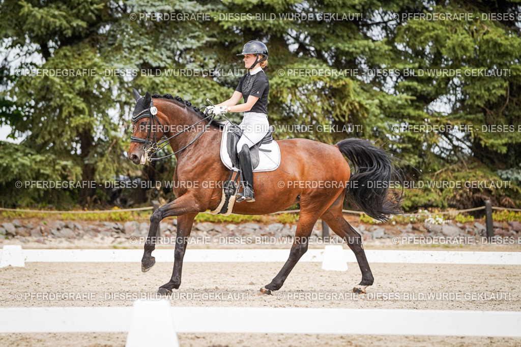 DSC06092 | Pferdegrafie