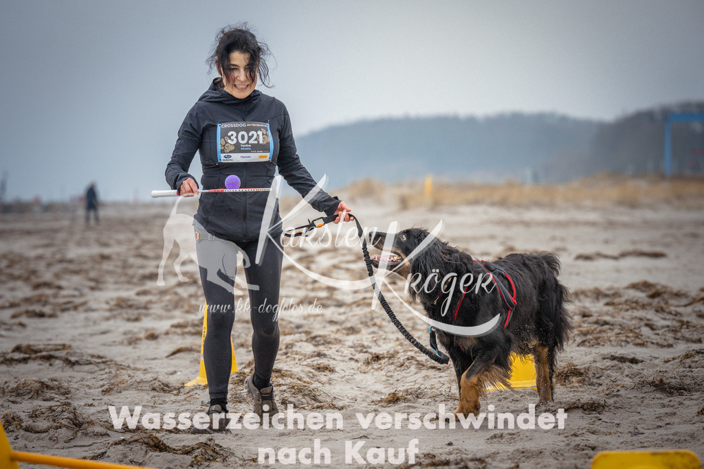 1049_ZZ96031 | kk-dogfotos