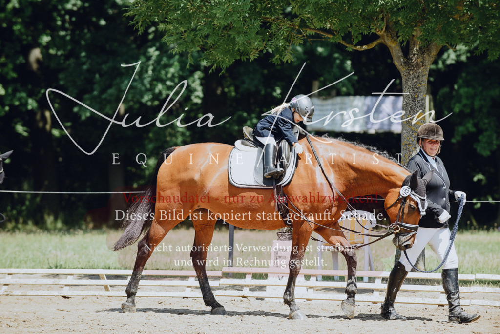 DSC_2625 | Pferde- und Turnierfotografie in Westsachsen. Pferdeportraits, Auftragszeichnungen und intuitive Kunst.