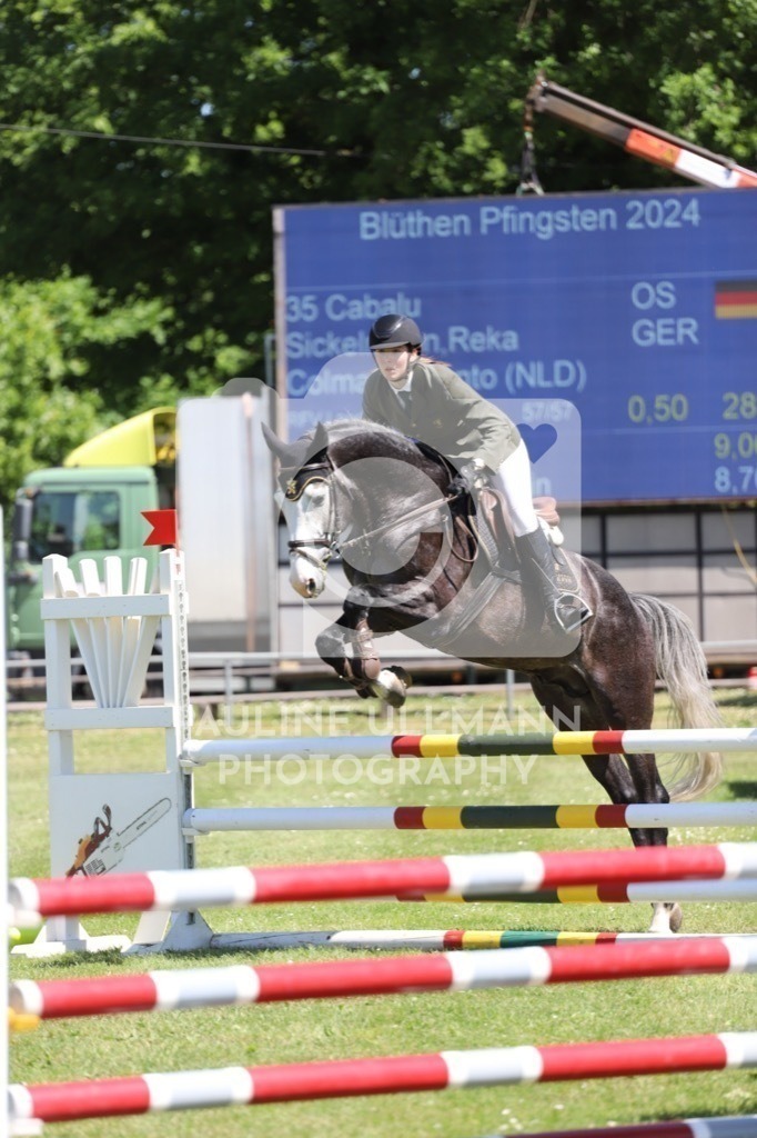 IMG_6350 | Pauline Ullmann Photography - Realisiert mit Pictrs.com