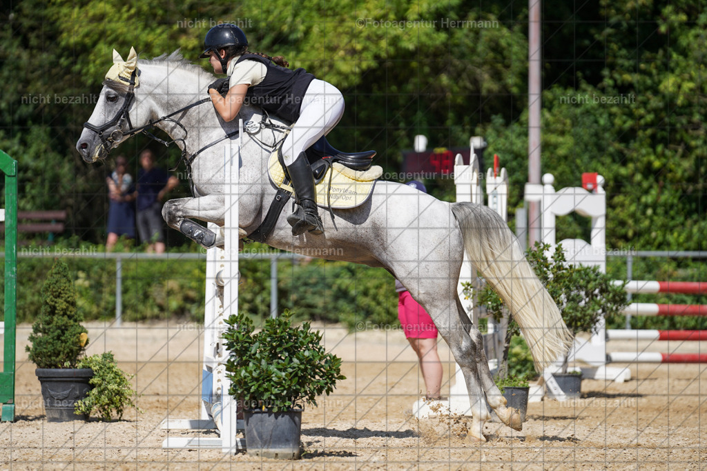 20240824-FAH08280 | Thierhaupten 2024, Bayerisches Landesponyturnier, Turnierbilder, Ponybilder, Turnierfotografen Bayern, Fotoagentur Herrmann