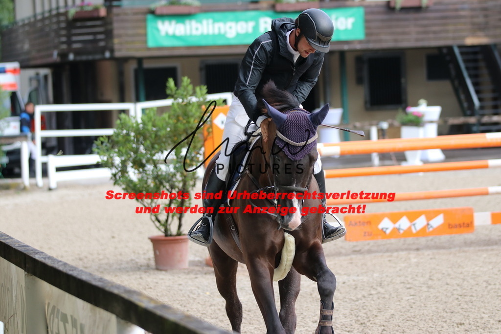 IMG_8684 | lmwpictures - Realisiert mit Pictrs.com