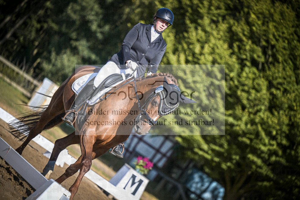 DOS_1170 | Entdecke hochwertige Reitturnierfotos von Foto Oger. Professionell, emotional und authentisch – jetzt Lieblingsmomente im Shop bestellen.Deutschlandweite Turnierfotografie. - Realisiert mit Pictrs.com