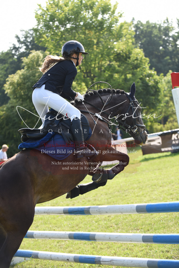 DSC_8937 | Pferde- und Turnierfotografie in Westsachsen. Pferdeportraits, Auftragszeichnungen und intuitive Kunst.