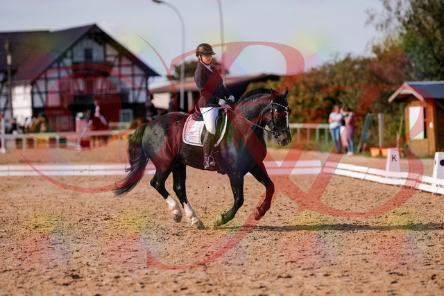 2026_10_03_Siefer-Hof_131850_Z81_66818822 | Professionelle Reitsport-, Turnier- und Eventfotografie von Robert Broda. Galerien mit ausgewählten und bearbeiteten Bildern direkt online ansehen und bestellen.