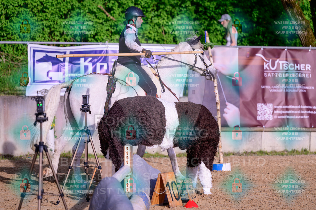 02052026-Giesenbach-03-Speedtrail-0584 | Fokus Hufschlag Fotografie - Realisiert mit Pictrs.com