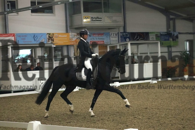 Wiesental_2025_NBM_Prfg.Nr.04_Prix St.Georges_Timo Kemmerer_FBW Farani (5) | Alle Fotos der Reiterjournal Fotografin Doris Matthaes im Reiterjournal Online-Fotoshop. - Realisiert mit Pictrs.com