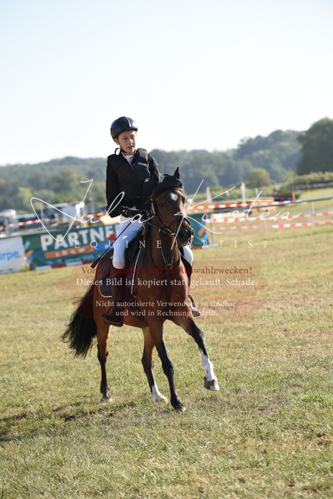DSC_5547 | Pferde- und Turnierfotografie in Westsachsen. Pferdeportraits, Auftragszeichnungen und intuitive Kunst.