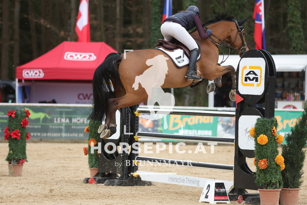 0P6A4615 | Willkommen bei Brunnmayr - Design & Fotografie – Ihrem Spezialisten für Reitturniere und Pferdeveranstaltungen in Oberösterreich, Salzburg und Bayern! Seit über 17 Jahren sind wir leidenschaftlich dabei.