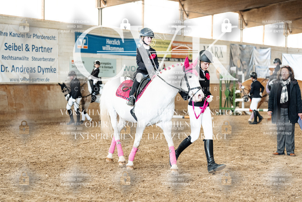 CK906130 | Turnierfotografie Pferdefotografie Trier Rheinland-Pfalz Pferdesport Reitsport Tierfotografie Sportfotografie Pferdevideo Pferdevideografie Equestrianvideography equestrianphotography  - Realisiert mit Pictrs.com
