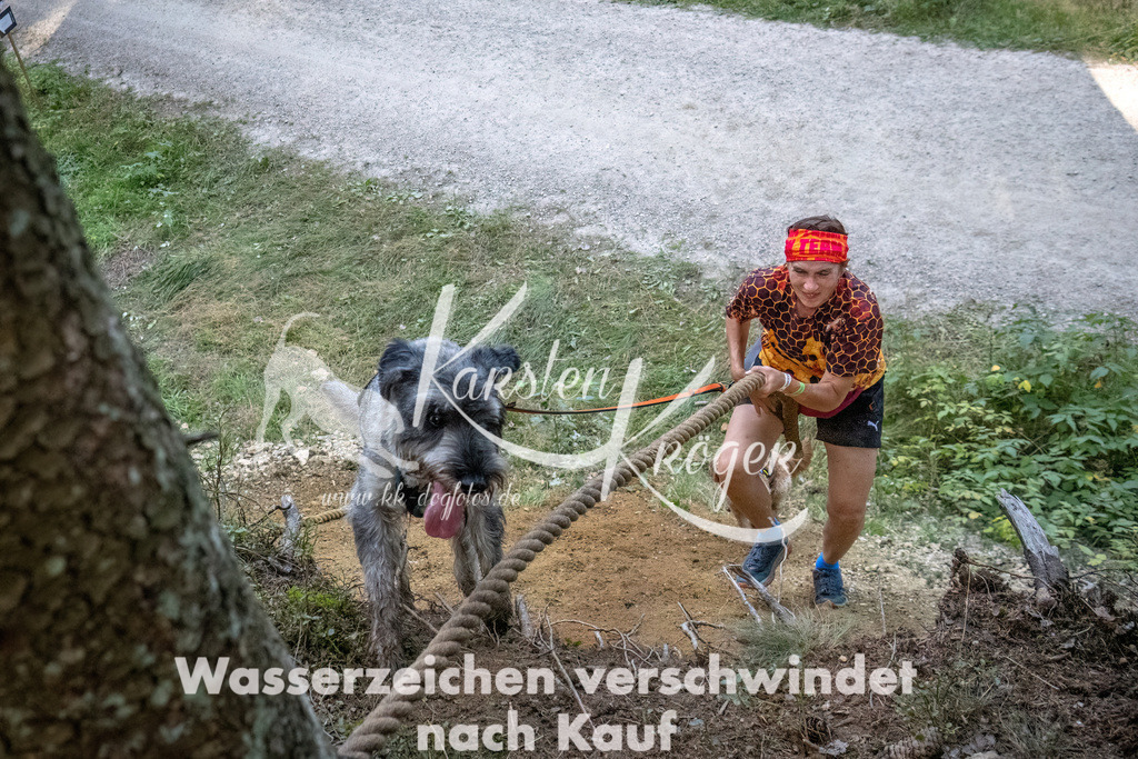 0940_ZZ92637-DeNoiseAI-low-light | kk-dogfotos