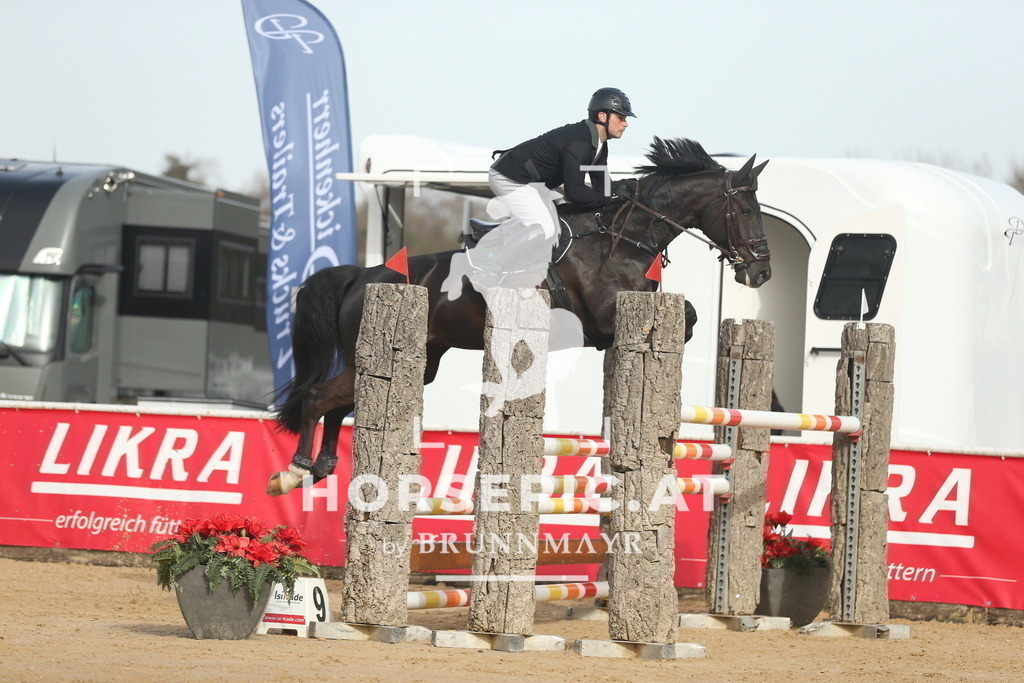 AS8V7017 | Willkommen bei Brunnmayr - Design & Fotografie – Ihrem Spezialisten für Reitturniere und Pferdeveranstaltungen in Oberösterreich, Salzburg und Bayern! Seit über 17 Jahren sind wir leidenschaftlich dabei.