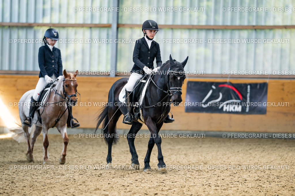 DSC02664 | Pferdegrafie