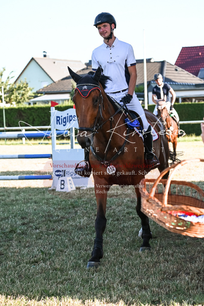 DSC_3213 | Pferde- und Turnierfotografie in Westsachsen. Pferdeportraits, Auftragszeichnungen und intuitive Kunst.