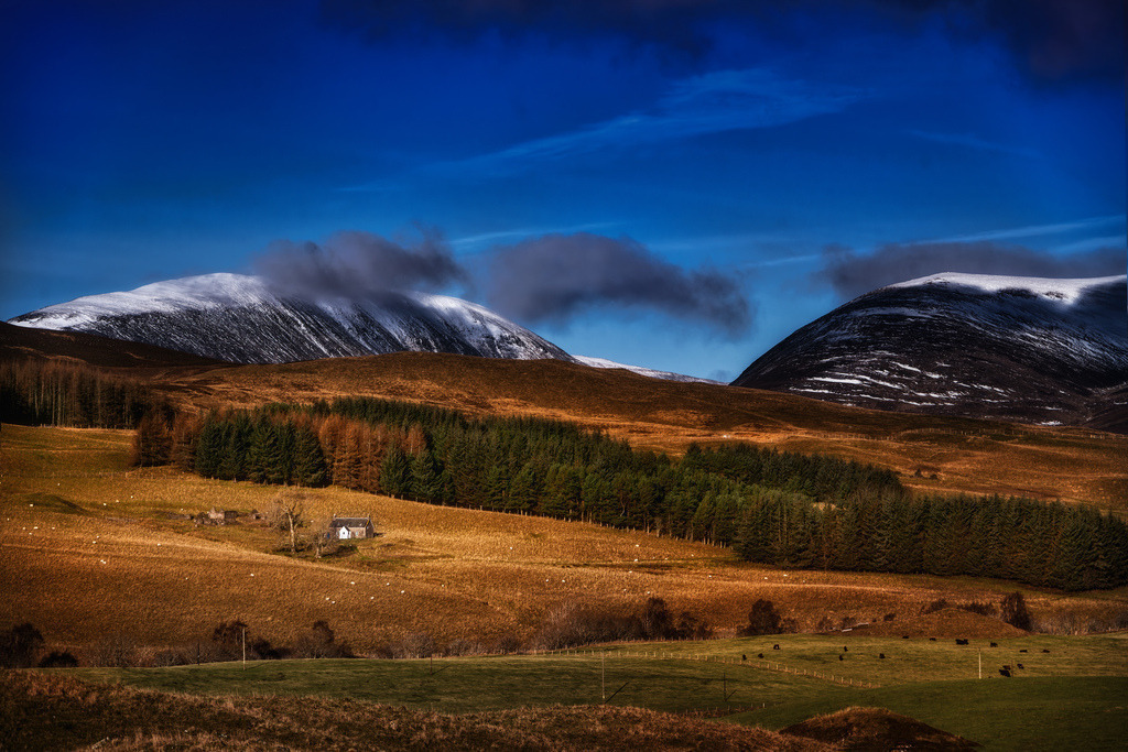 Winterlandschaft Pitlochry, Schottland | Eine weite schottische Landschaft präsentiert schneebedeckte Berge unter einem tiefblauen Himmel. Goldbraune Hügel im Vordergrund sind mit einem dunklen Nadelwald und einem einzelnen weißen Haus durchzogen, was einen Kontrast zur unberührten Natur schafft. Die Komposition betont die Weite und Ruhe der winterlichen Szenerie in Pitlochry. - Realisiert mit Pictrs.com