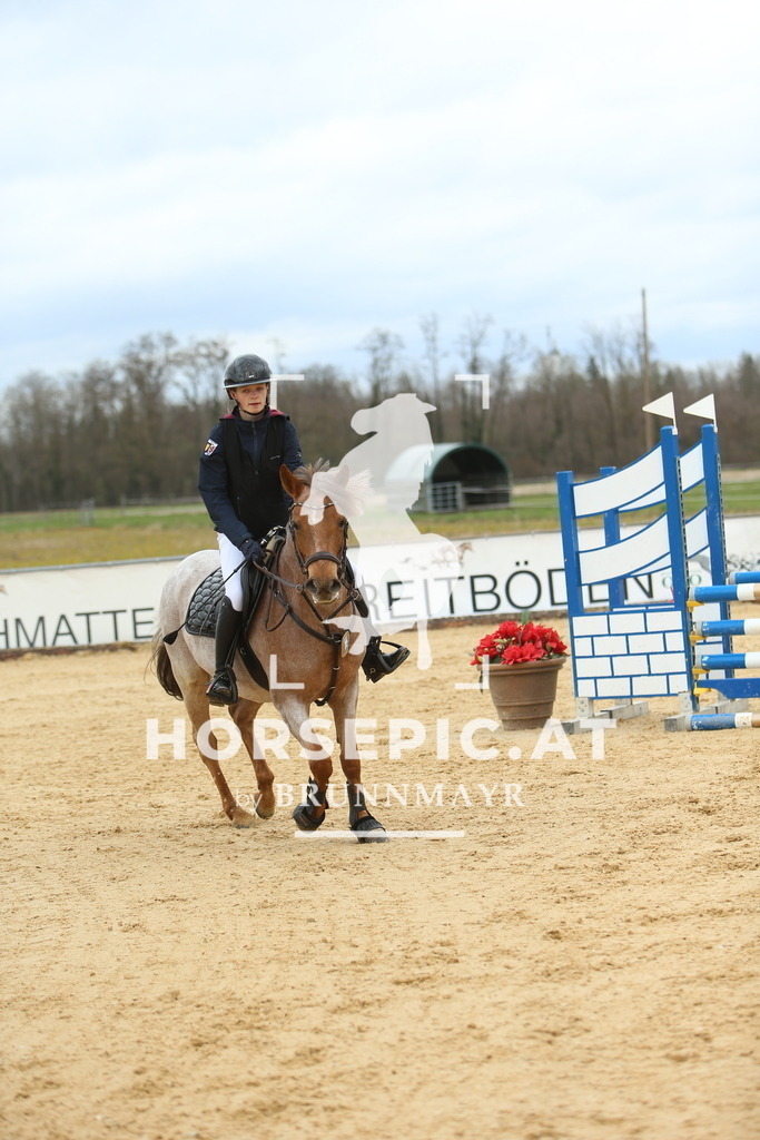 DL2Q1903 | Willkommen bei Brunnmayr - Design & Fotografie – Ihrem Spezialisten für Reitturniere und Pferdeveranstaltungen in Oberösterreich, Salzburg und Bayern! Seit über 17 Jahren sind wir leidenschaftlich dabei.
